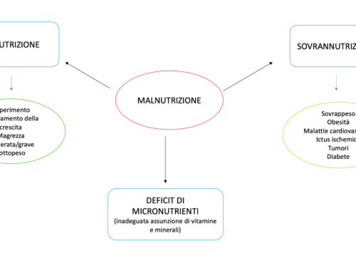 La malnutrizione: due facce della stessa medaglia – Parte 1